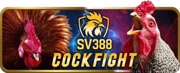 Casino trực tuyến b66 code